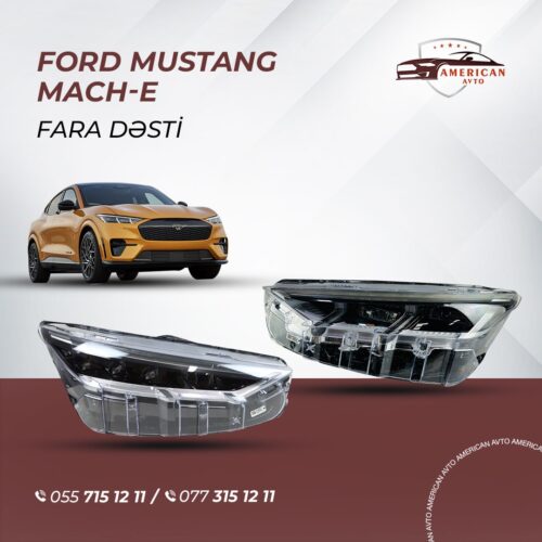 Ford Mustang Mach E Fara Desti